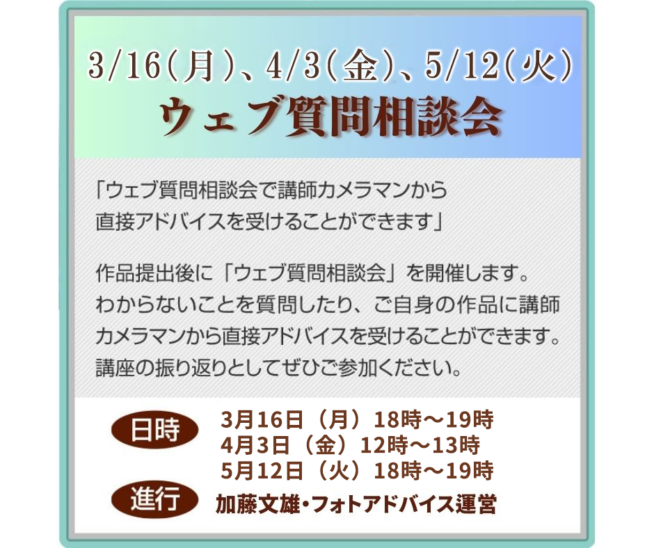 ウェブ質問相談会