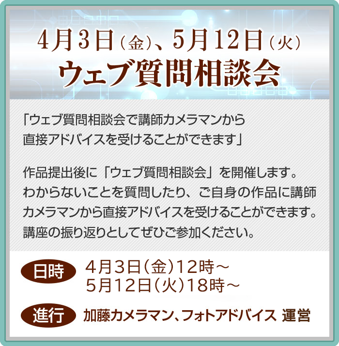 ウェブ質問相談会